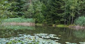 Naturpark aktiv 2024 - Durch Wald und Flur mit allen Sinnen