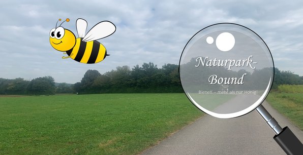 Starkholzbacher See - Bienen – mehr als Honig!