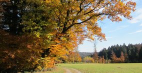 Naturpark aktiv 2023 - Herbstliche 25 km-Tour durch Wald und Weinberge