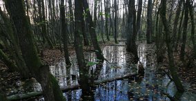 Naturpark aktiv 2023 - Sühnekreuze, Klingen und Moore