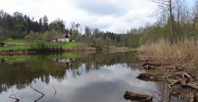 Naturpark aktiv 2023 - Keltisches Jahreskreisfest Beltane